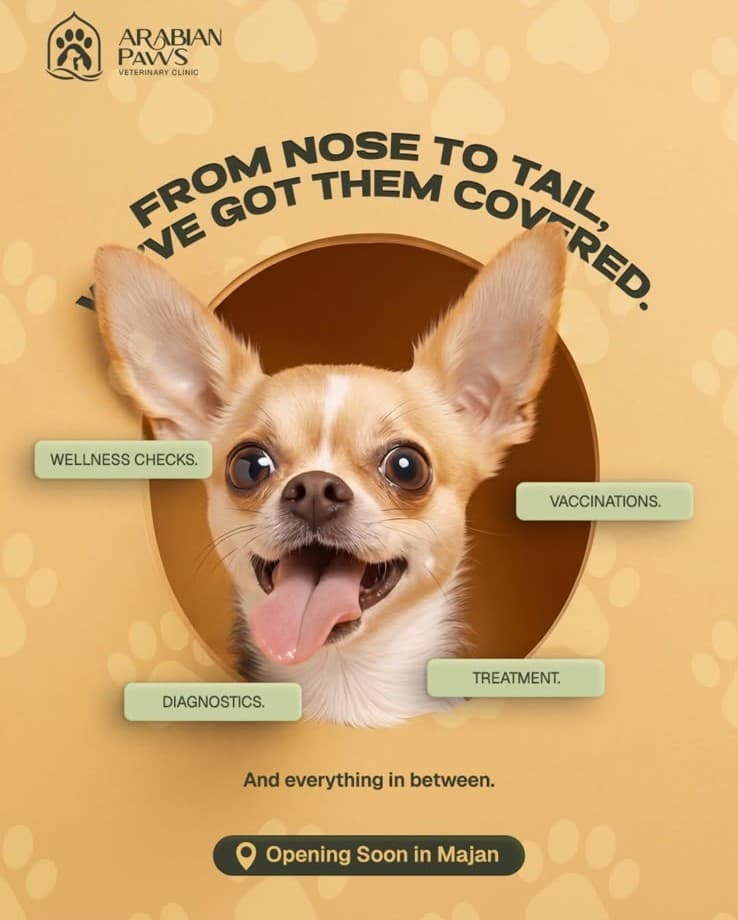 Arabian Paws from nose to tail care