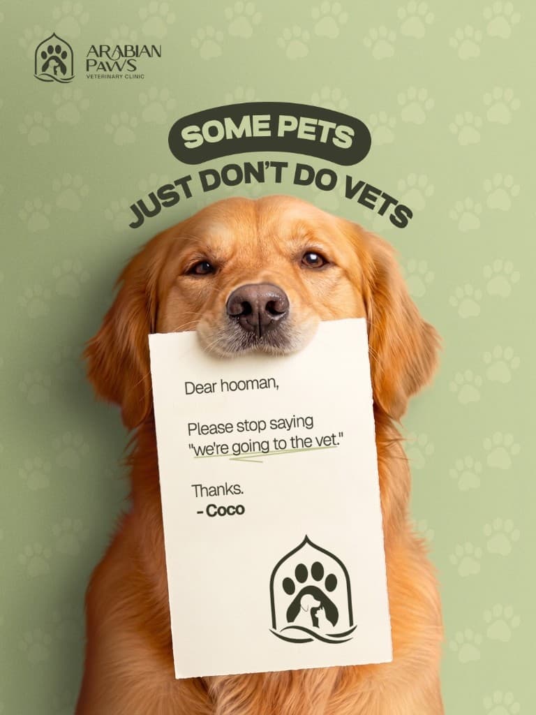 Some pets just don't do vets