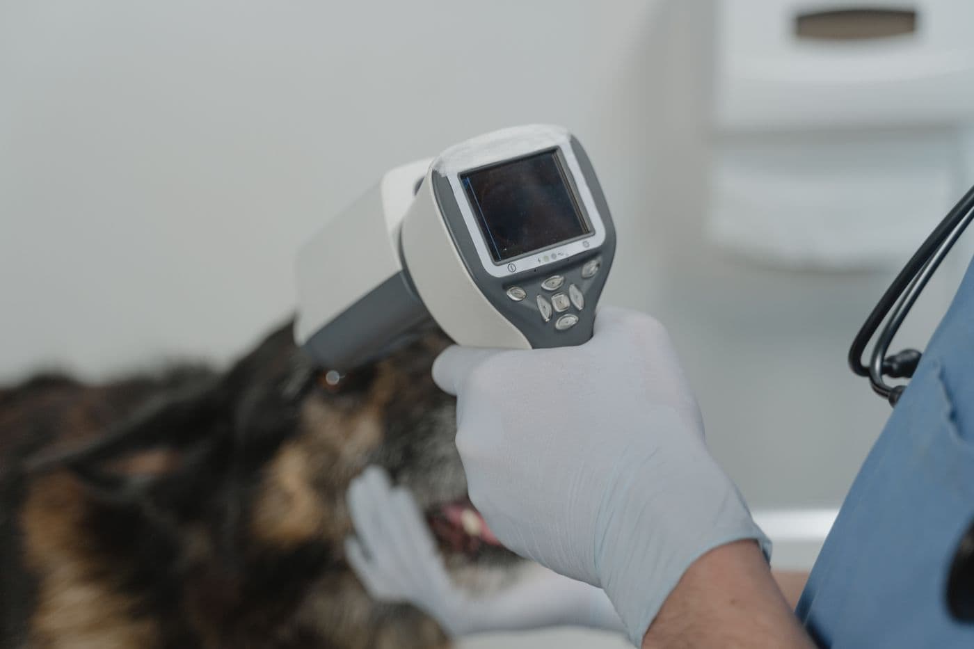 Veterinarian using a diagnostic imaging device on a dog