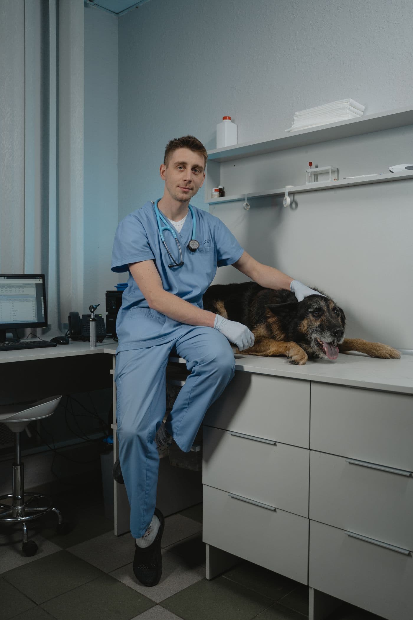 Veterinarian with a dog beside clinic records for an insurance claim